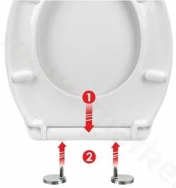 Sanitary WC-bril Met Print - Kunstof - Softcolse - RVS Schanieren - Afklikbaar -Badkamer Producten Winkel 1129x1200 2