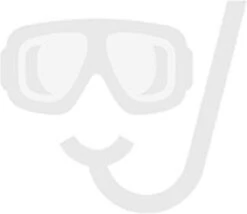 Douchegoot RVS FLENS - 80 CM - Met Uitneembaar Sifon & Uitneembaar Haarfilter -Badkamer Producten Winkel 1200x1042 1