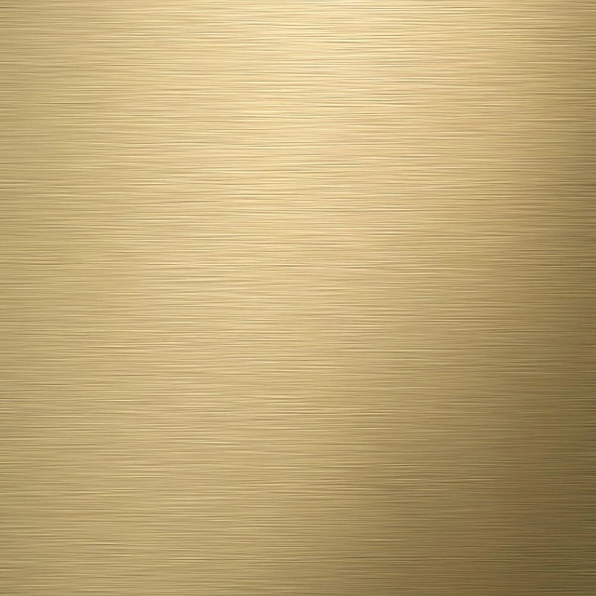 Tiger Tune - Reserverolhouder - Messing Geborsteld / Zwart 6 Tiger Tune - Reserverolhouder - Messing Geborsteld / Zwart - Afbeelding 4