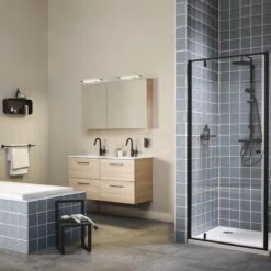 Sealskin Brix - Wandkubus Wandelement Wandrek - 12x50x24 Cm - Metaal - Zwart -Badkamer Producten Winkel 1200x1200 989