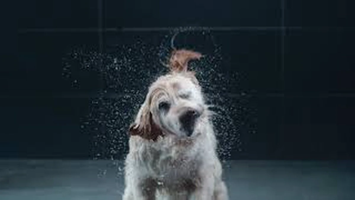 GROHE Euphoria SmartControl 310 Regendouche - CoolTouch - FastFixation - ø 31 Cm - Chroom 18 GROHE Euphoria SmartControl 310 Regendouche - CoolTouch - FastFixation - ø 31 Cm - Chroom - Afbeelding 16