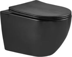 Delivo | Hangend Toilet | Mat Zwart | Softclose | Nano Coating & Rimless Functie