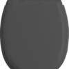 Allibert Wc-bril ATLAS - Geperst Hout - Afklikbaar - Met Regelplaat - Anthraciet Grijs Gelakt -Badkamer Producten Winkel 926x1200 3